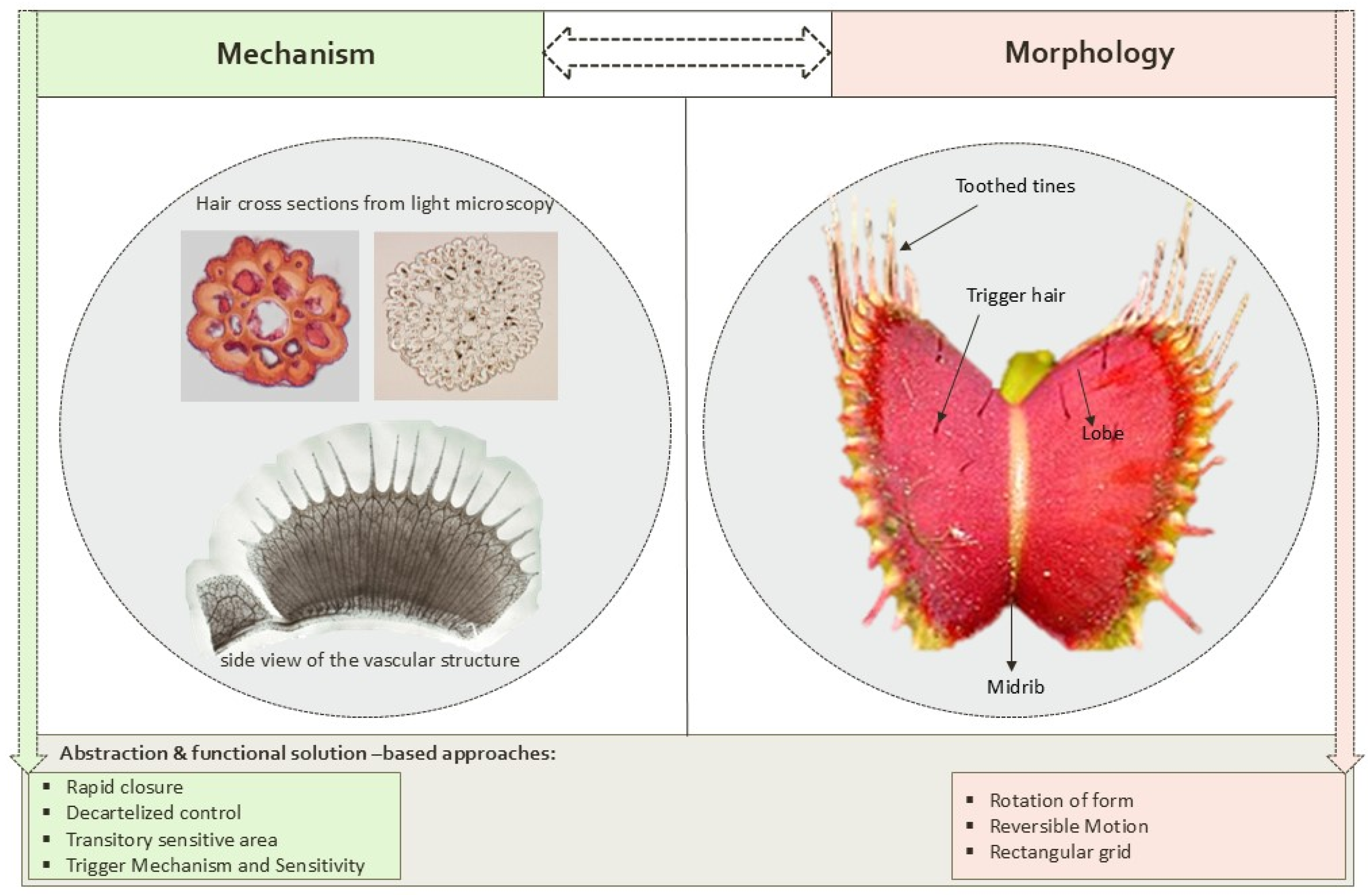 Buildings 15 01853 g005