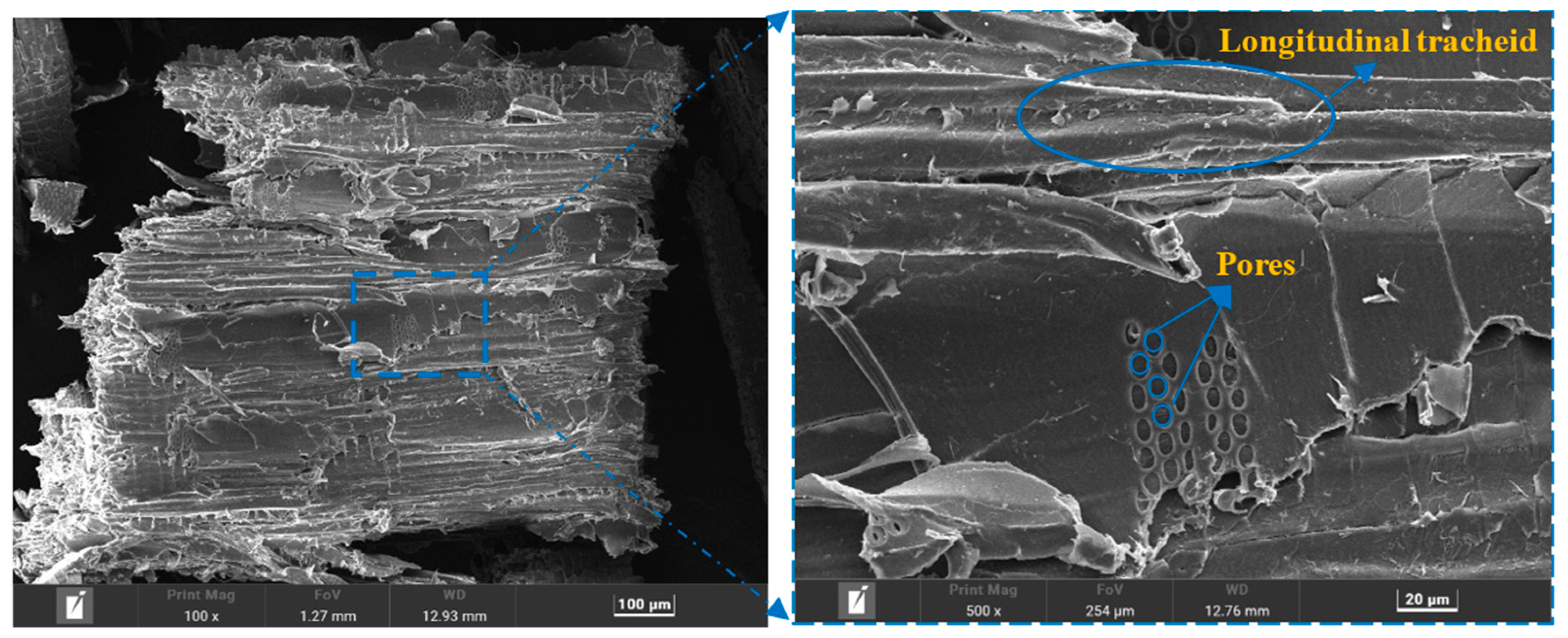 Buildings 15 02251 g001
