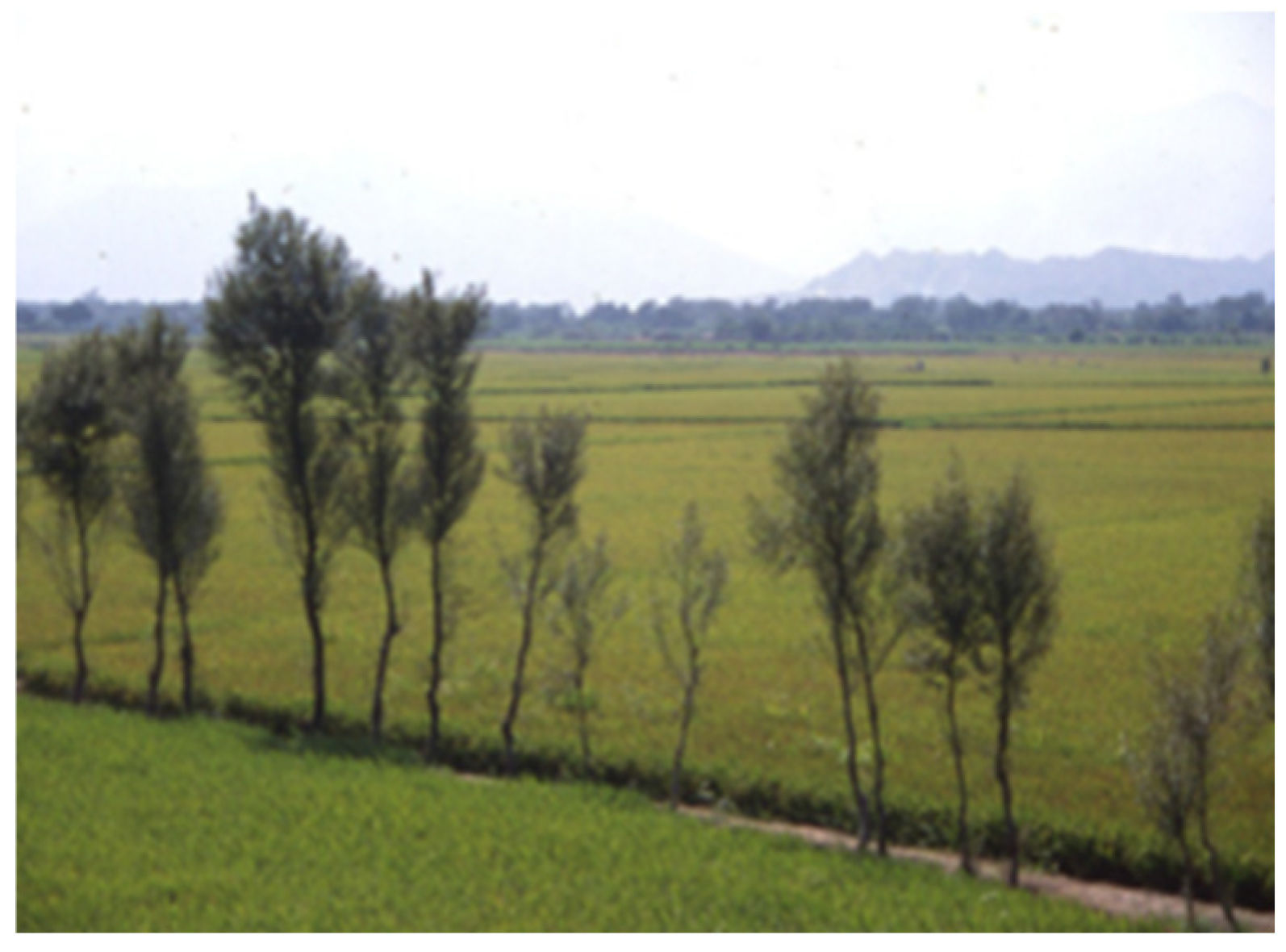 Buildings 15 02315 g005