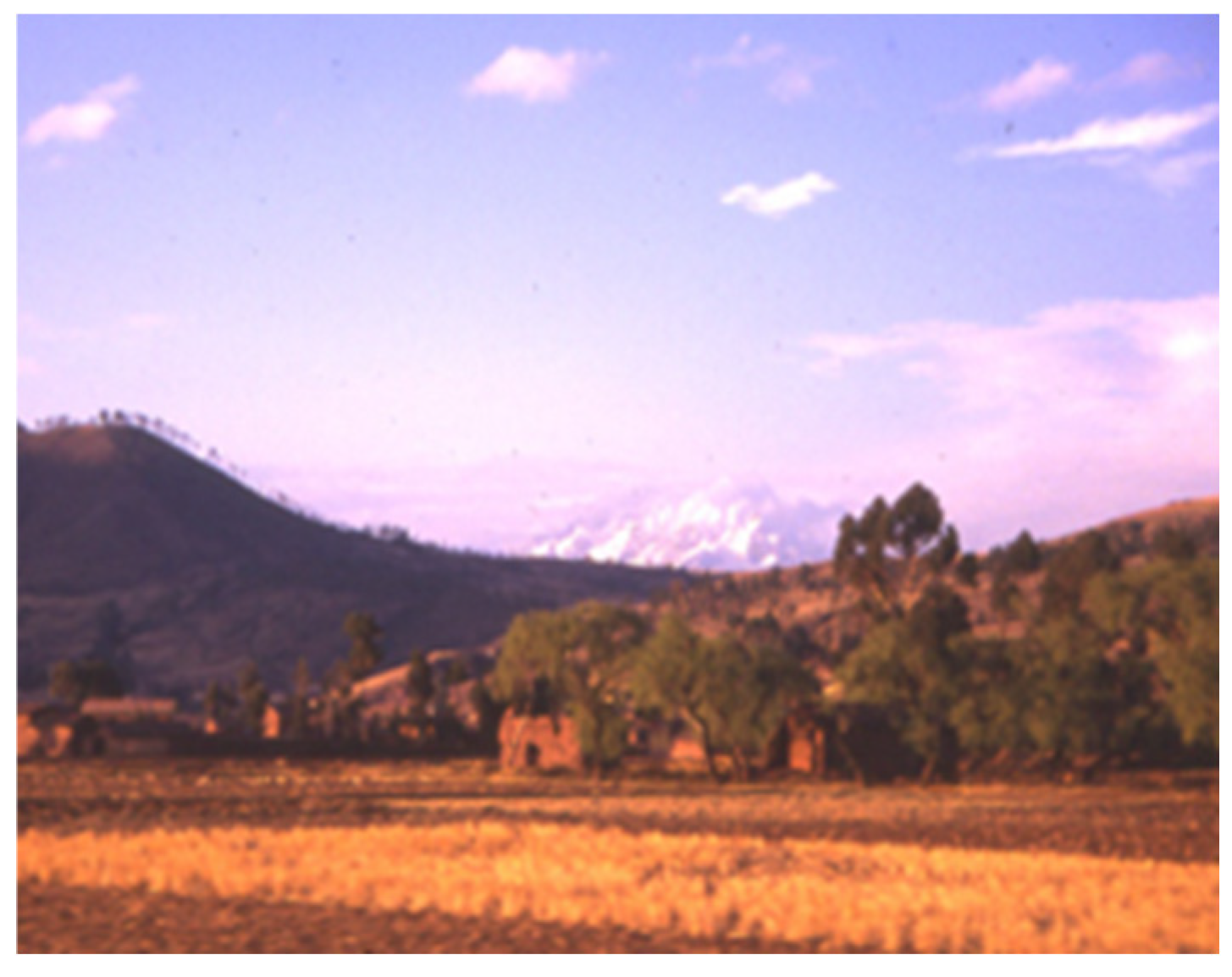 Buildings 15 02315 g006