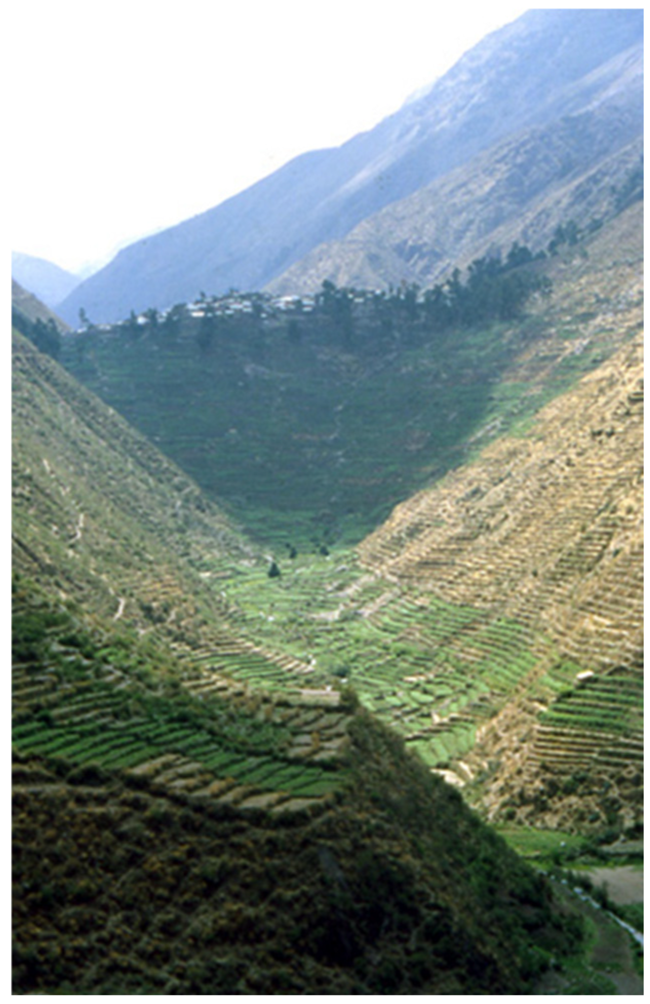 Buildings 15 02315 g016