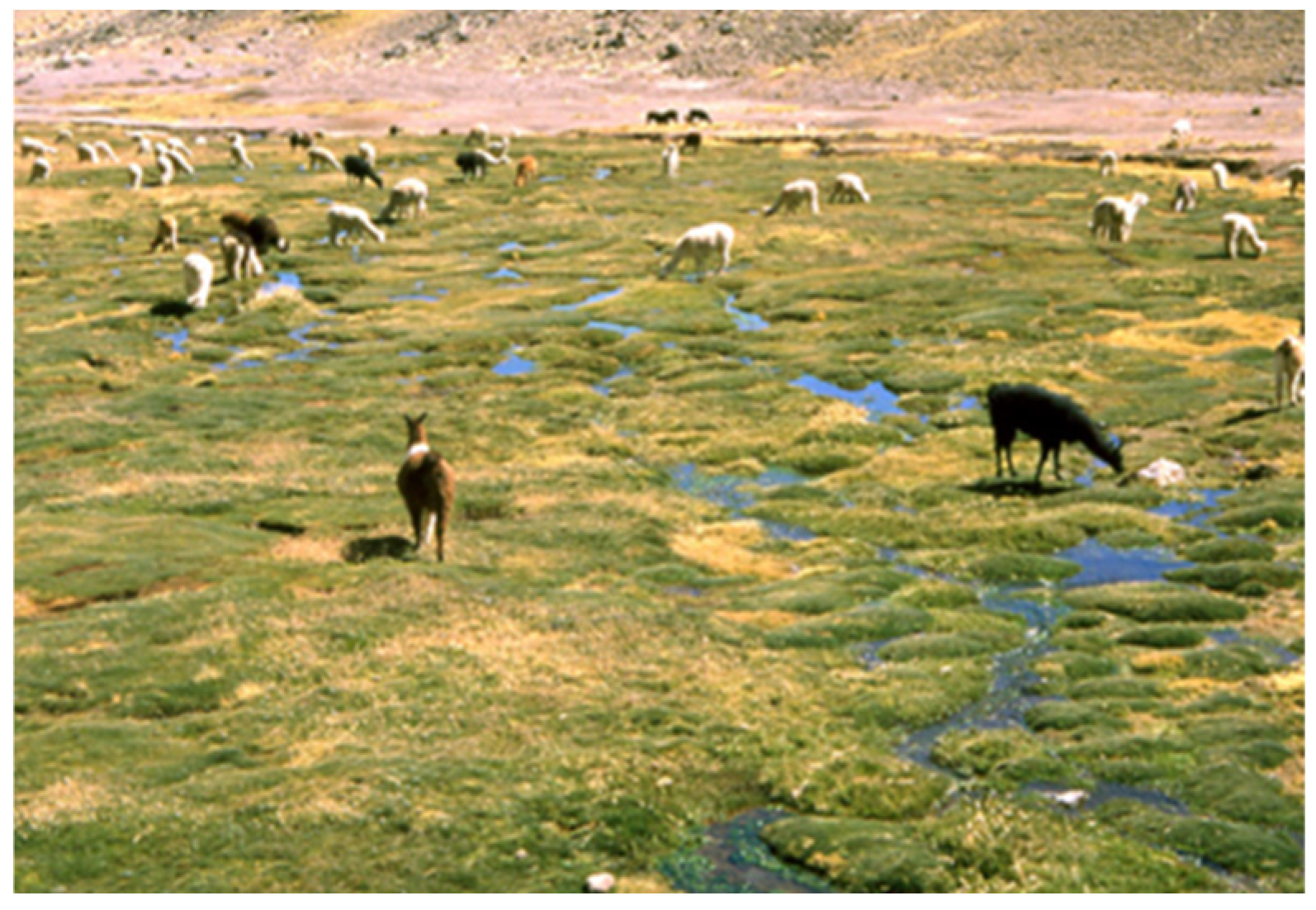 Buildings 15 02315 g018