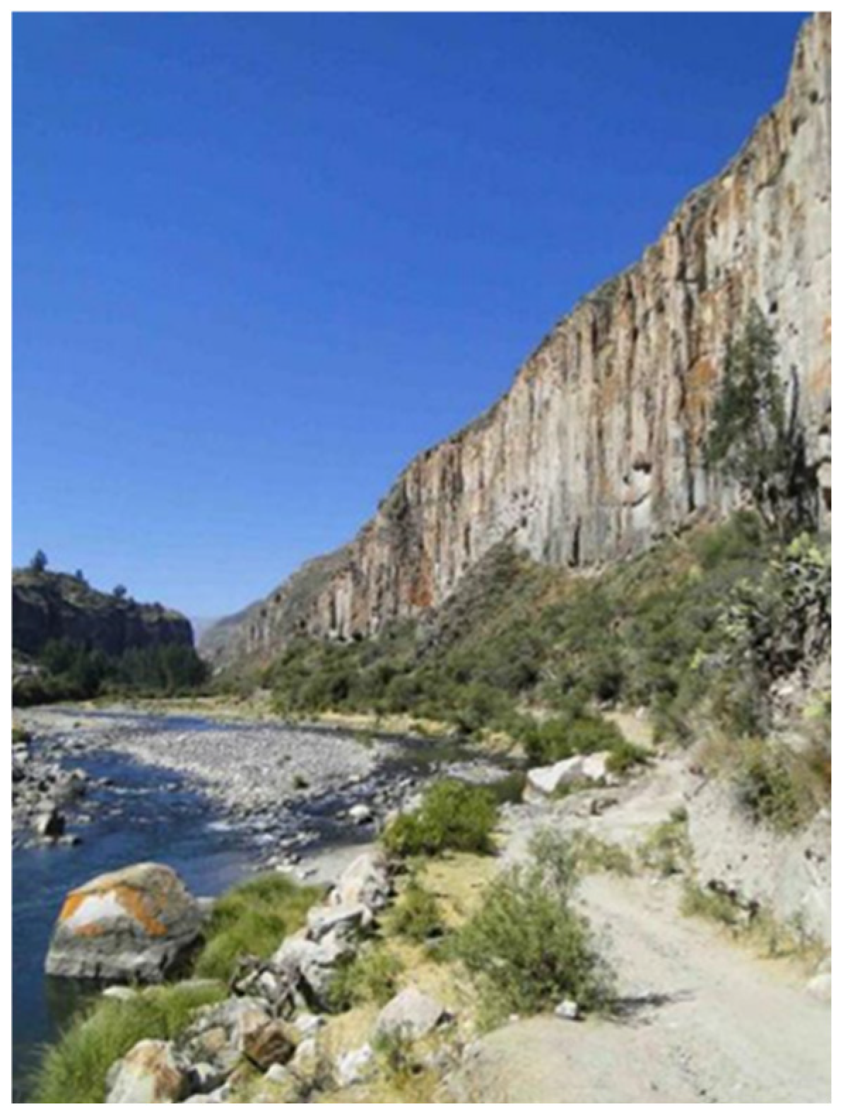 Buildings 15 02315 g019