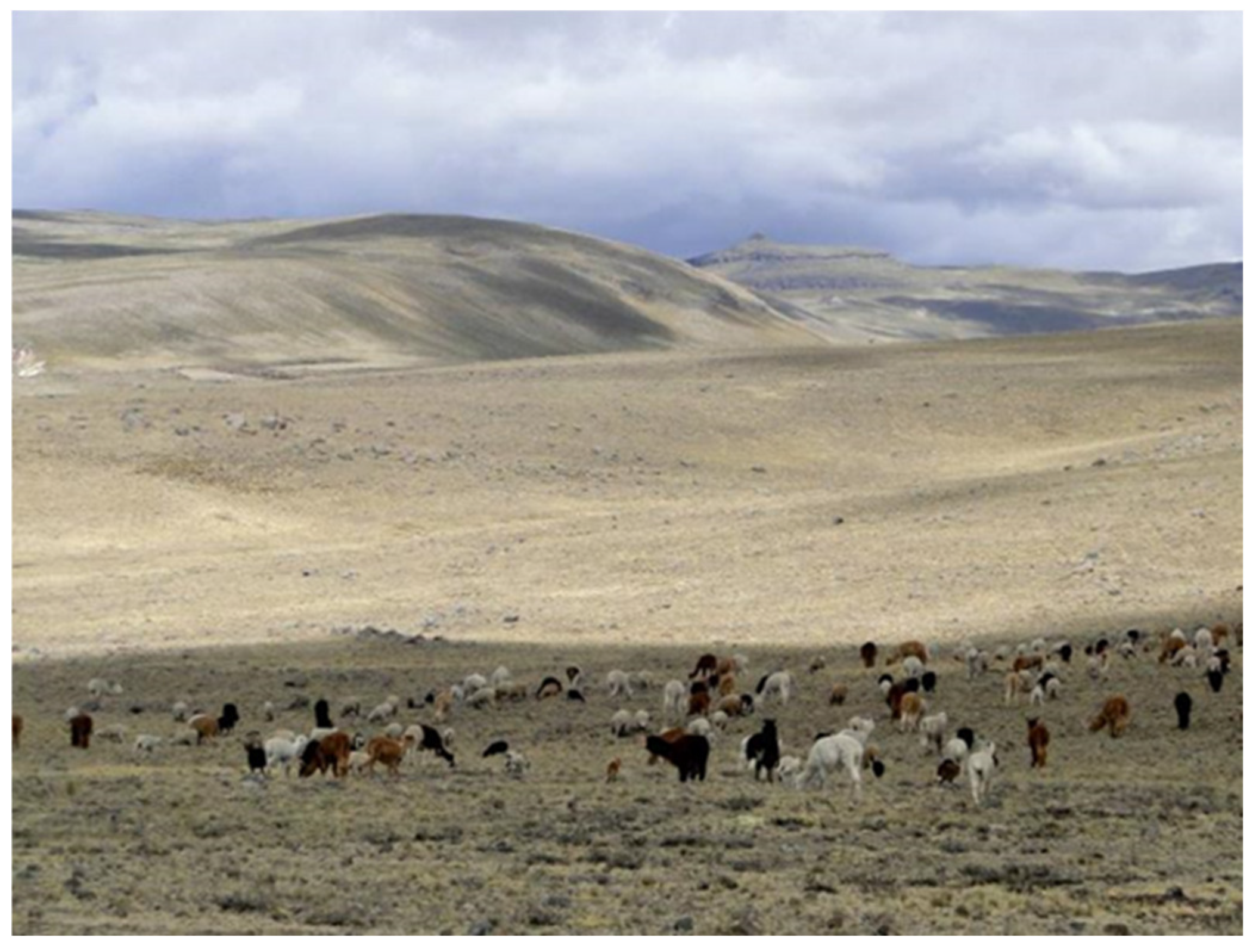 Buildings 15 02315 g020