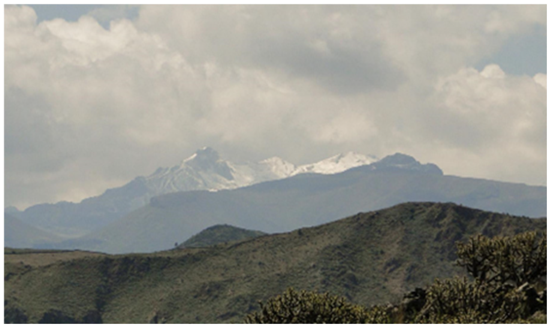 Buildings 15 02315 g021