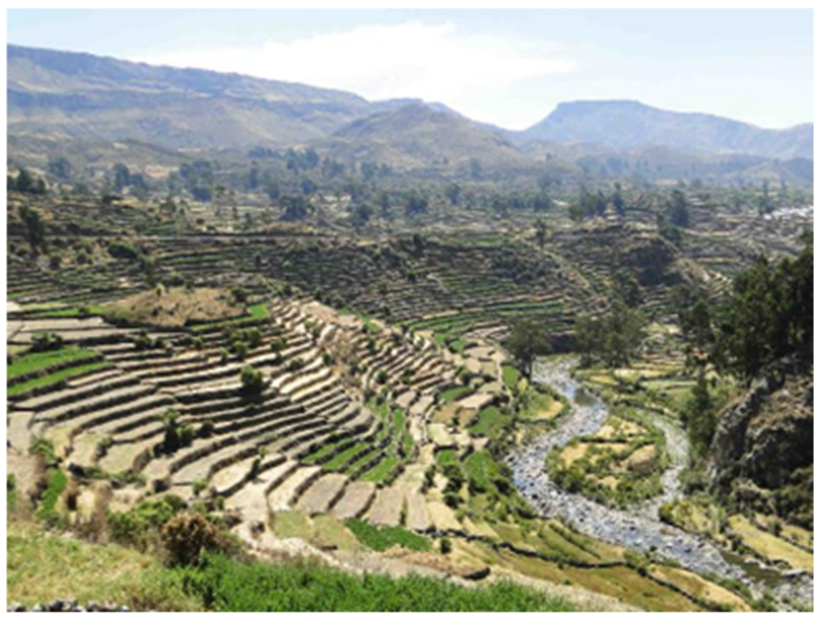 Buildings 15 02315 g026