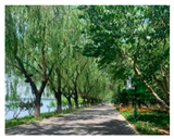 Buildings 15 02360 i001