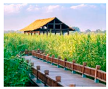 Buildings 15 02360 i002