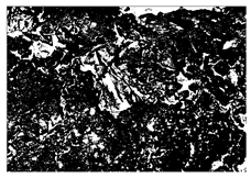 Buildings 15 02386 i007