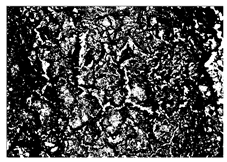 Buildings 15 02386 i008