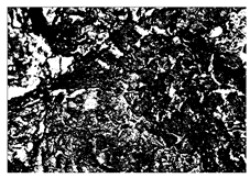 Buildings 15 02386 i009