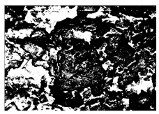 Buildings 15 02386 i019