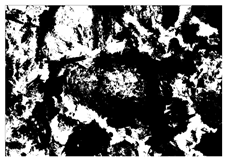 Buildings 15 02386 i020