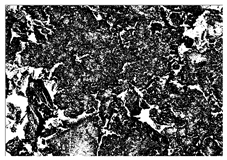 Buildings 15 02386 i033