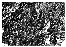 Buildings 15 02386 i067