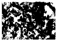 Buildings 15 02386 i075