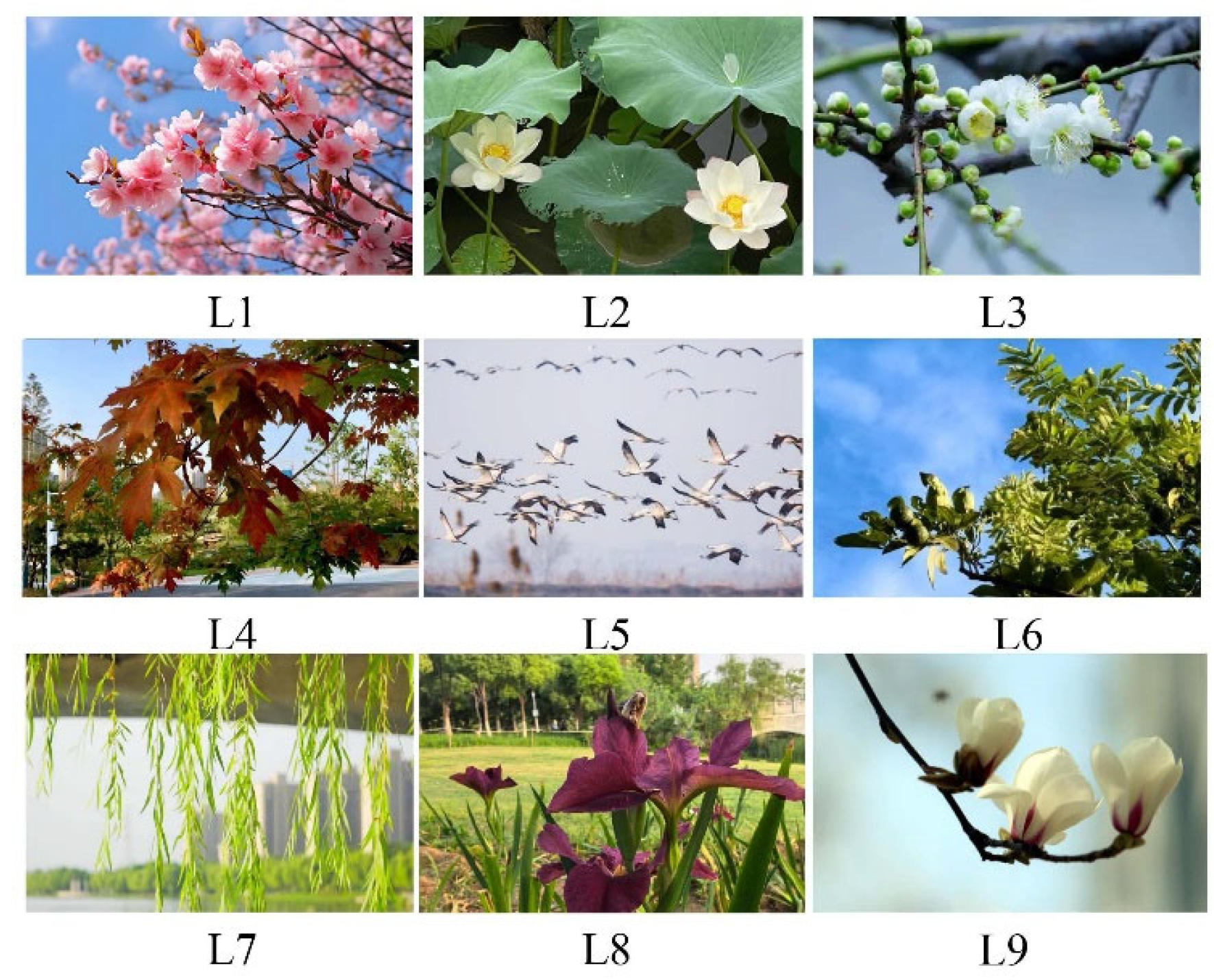 Buildings 15 03065 g014