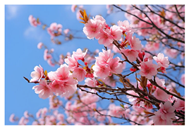 Buildings 15 03065 i013