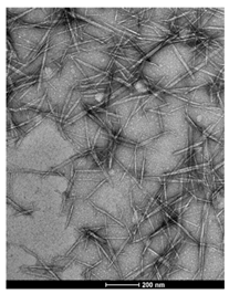 Buildings 15 03099 i001