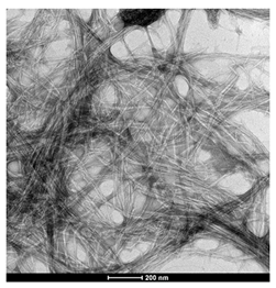 Buildings 15 03099 i002