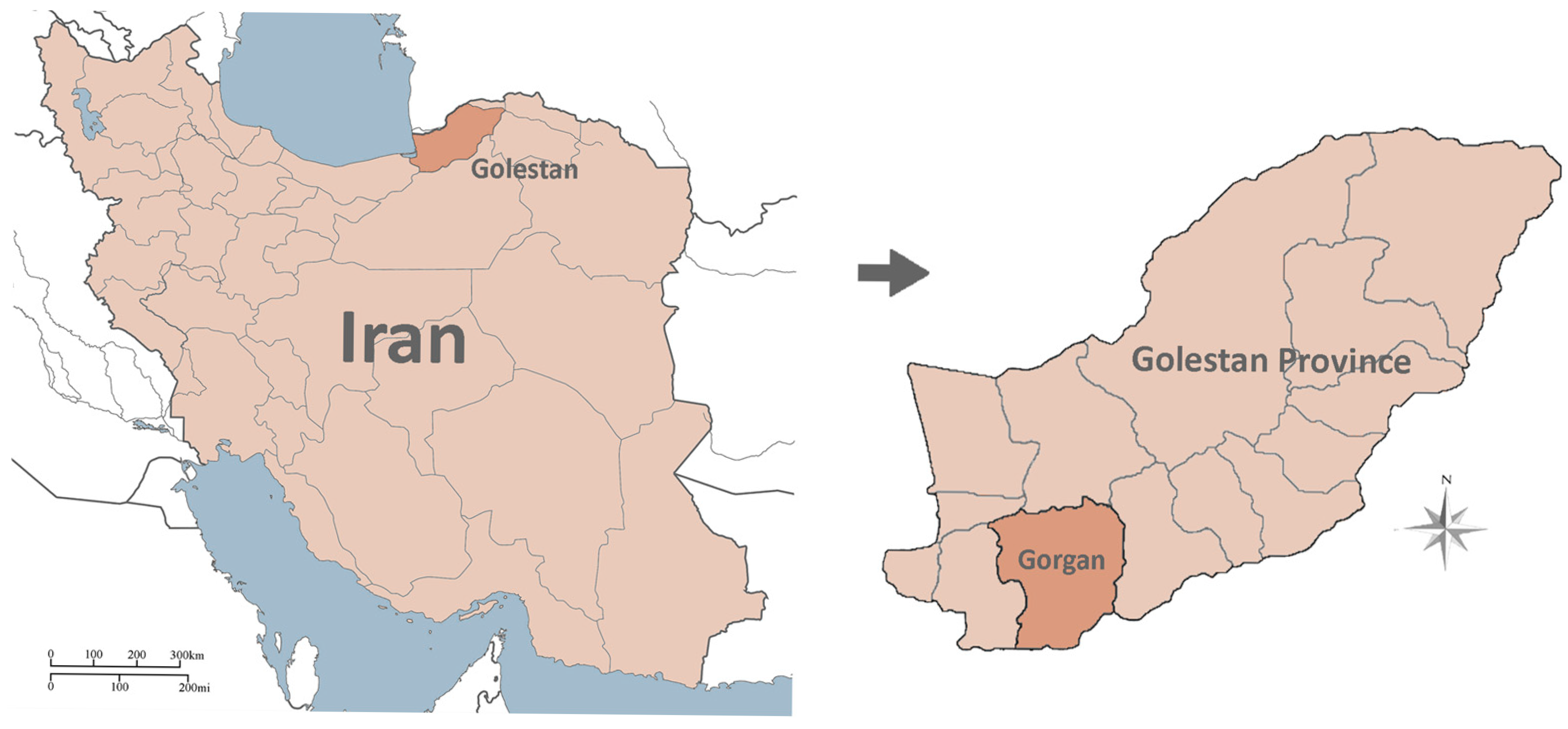 Buildings 15 03161 g002