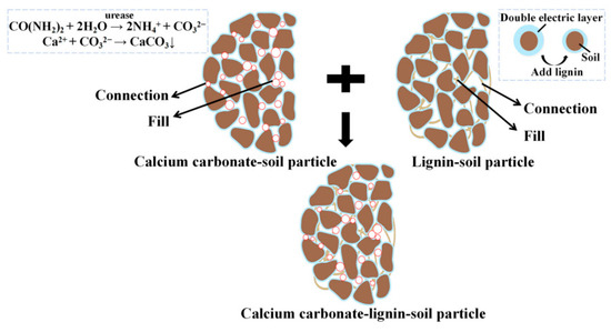 Buildings 15 03431 g006