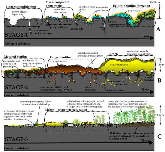 Buildings 15 03646 g002