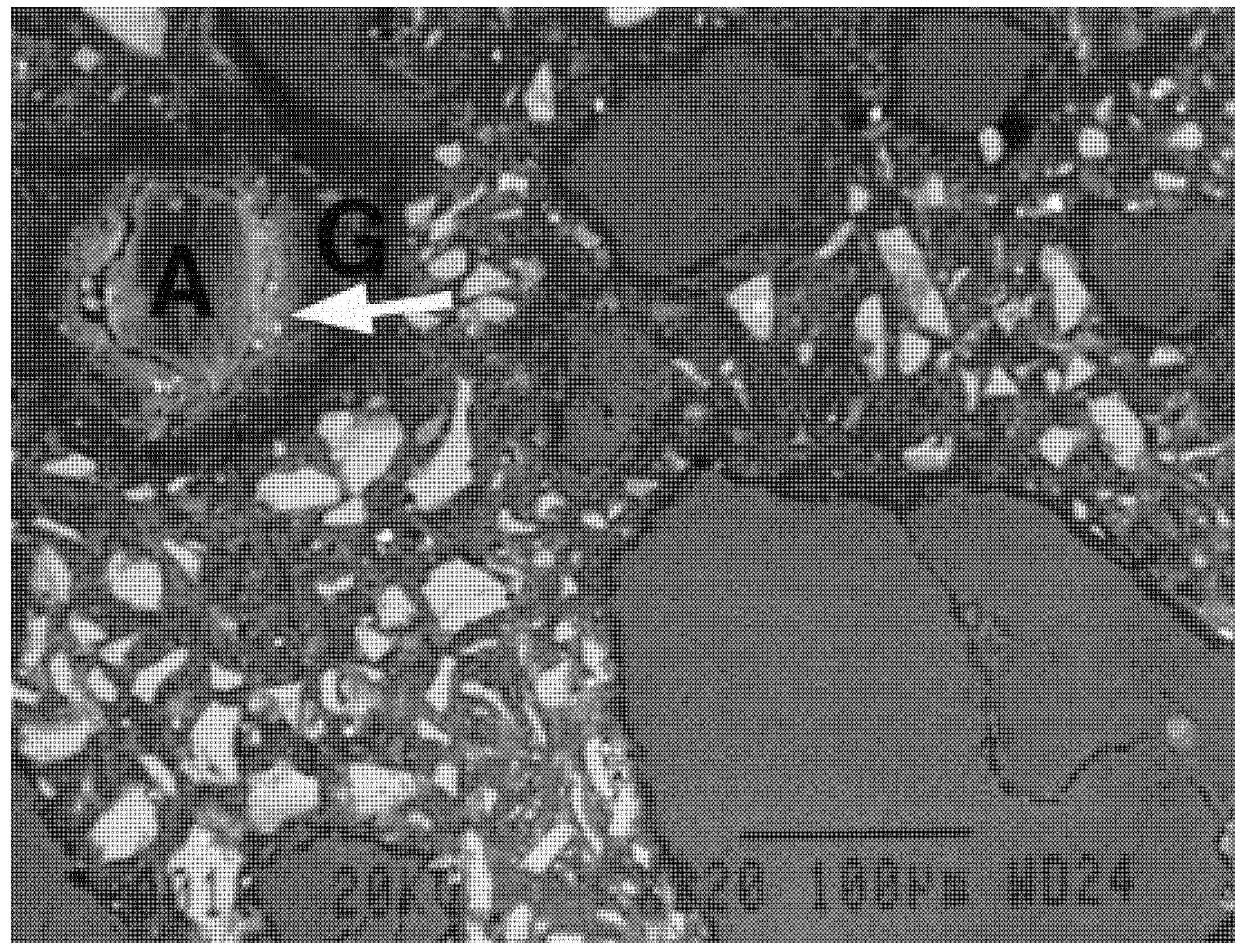 Buildings 15 03811 g013