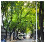 Buildings 15 04059 i036