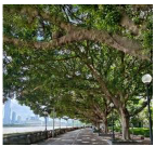 Buildings 15 04059 i096