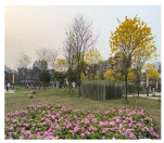 Buildings 15 04059 i108