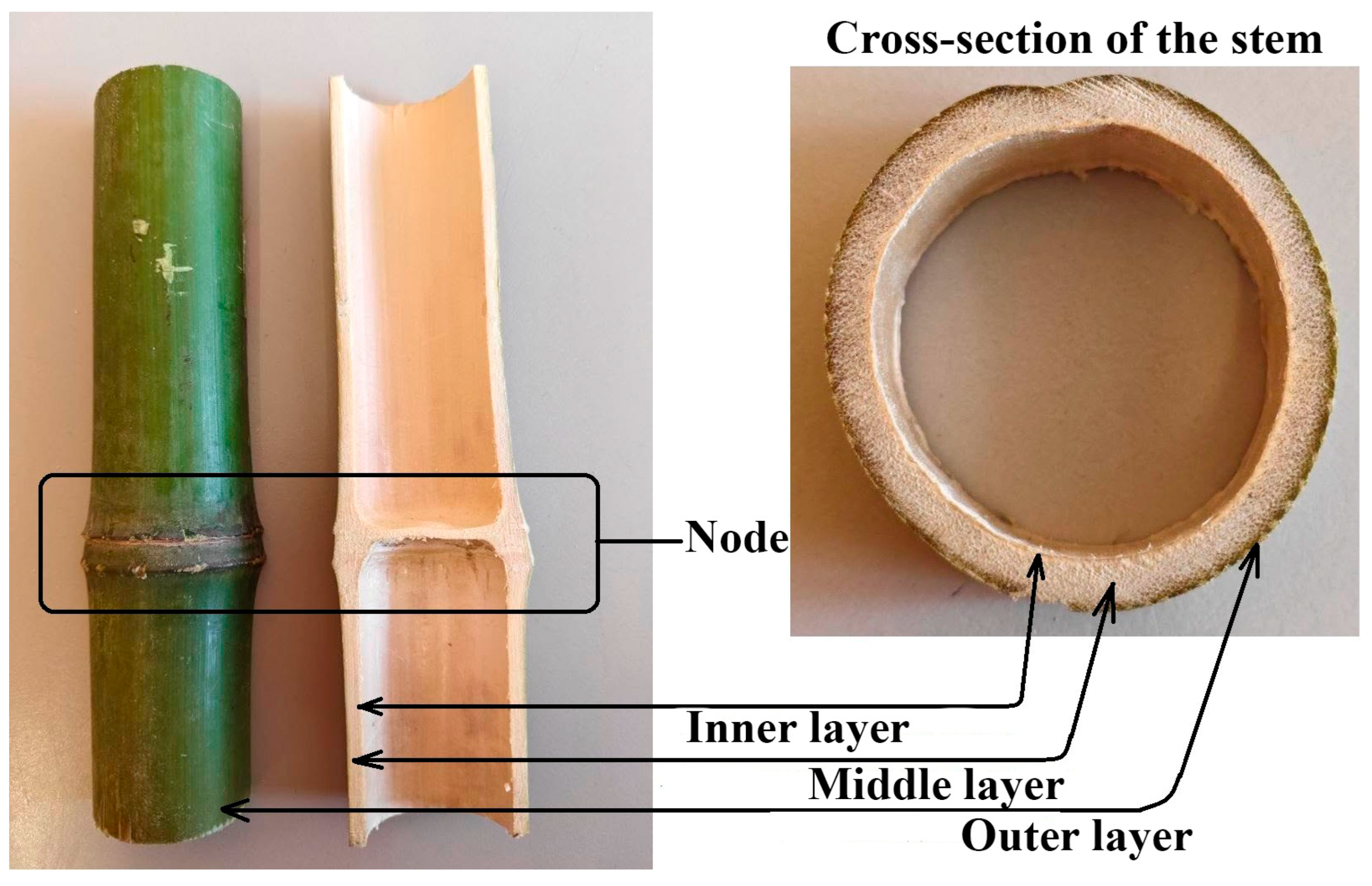 Buildings 15 04295 g001