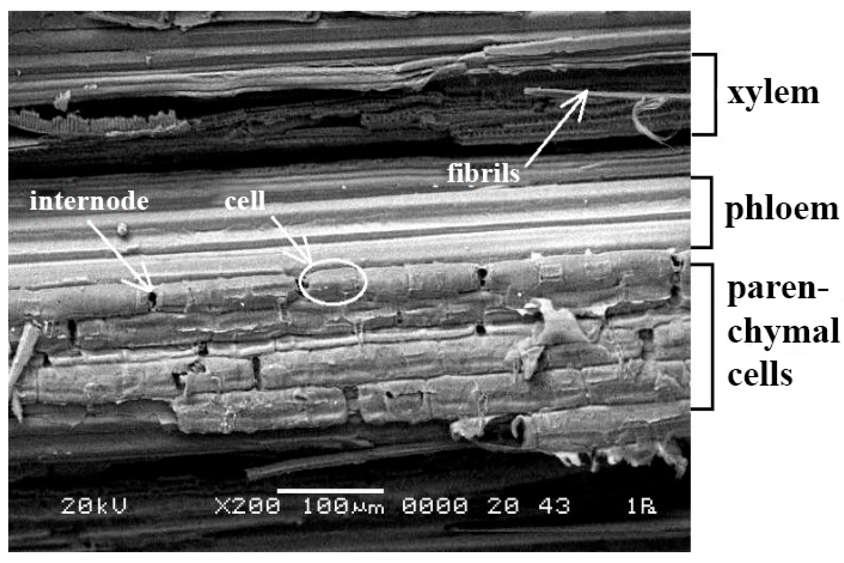 Buildings 15 04295 g004