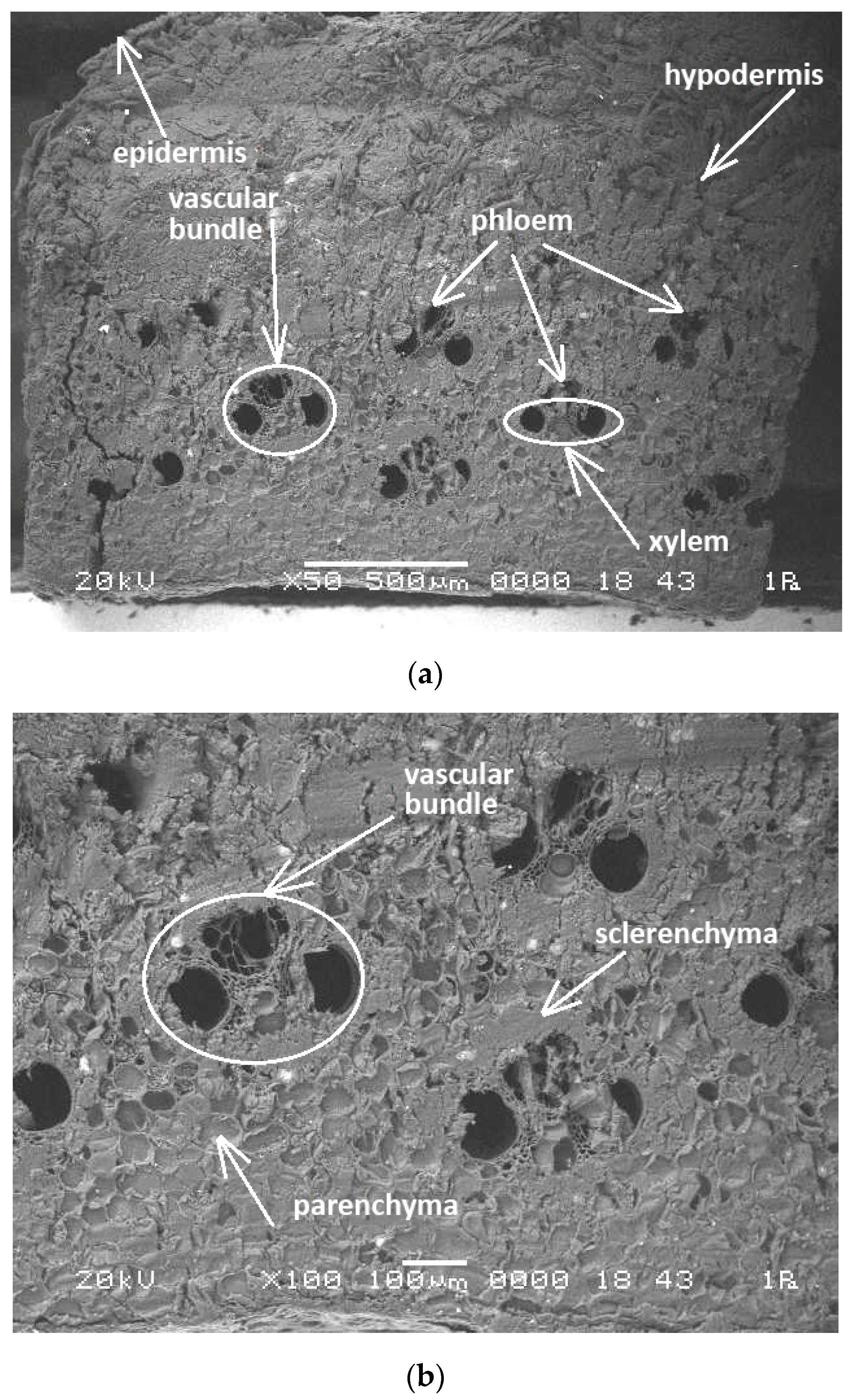 Buildings 15 04295 g005