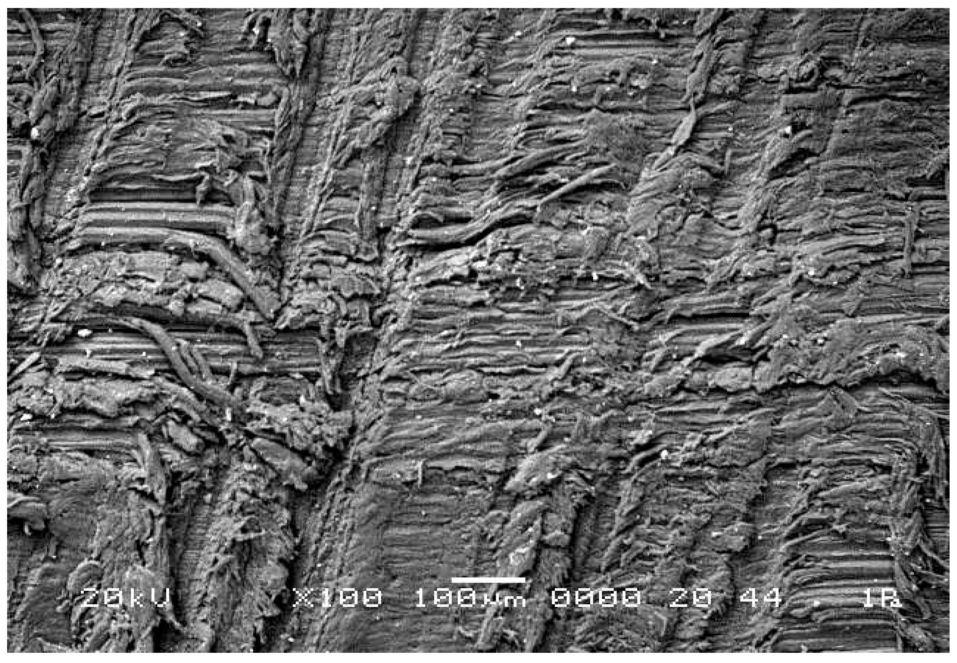 Buildings 15 04295 g013