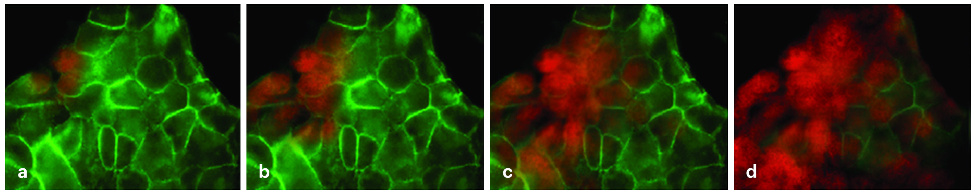 Buildings 16 00588 g001 Buildings 16 00588 g001