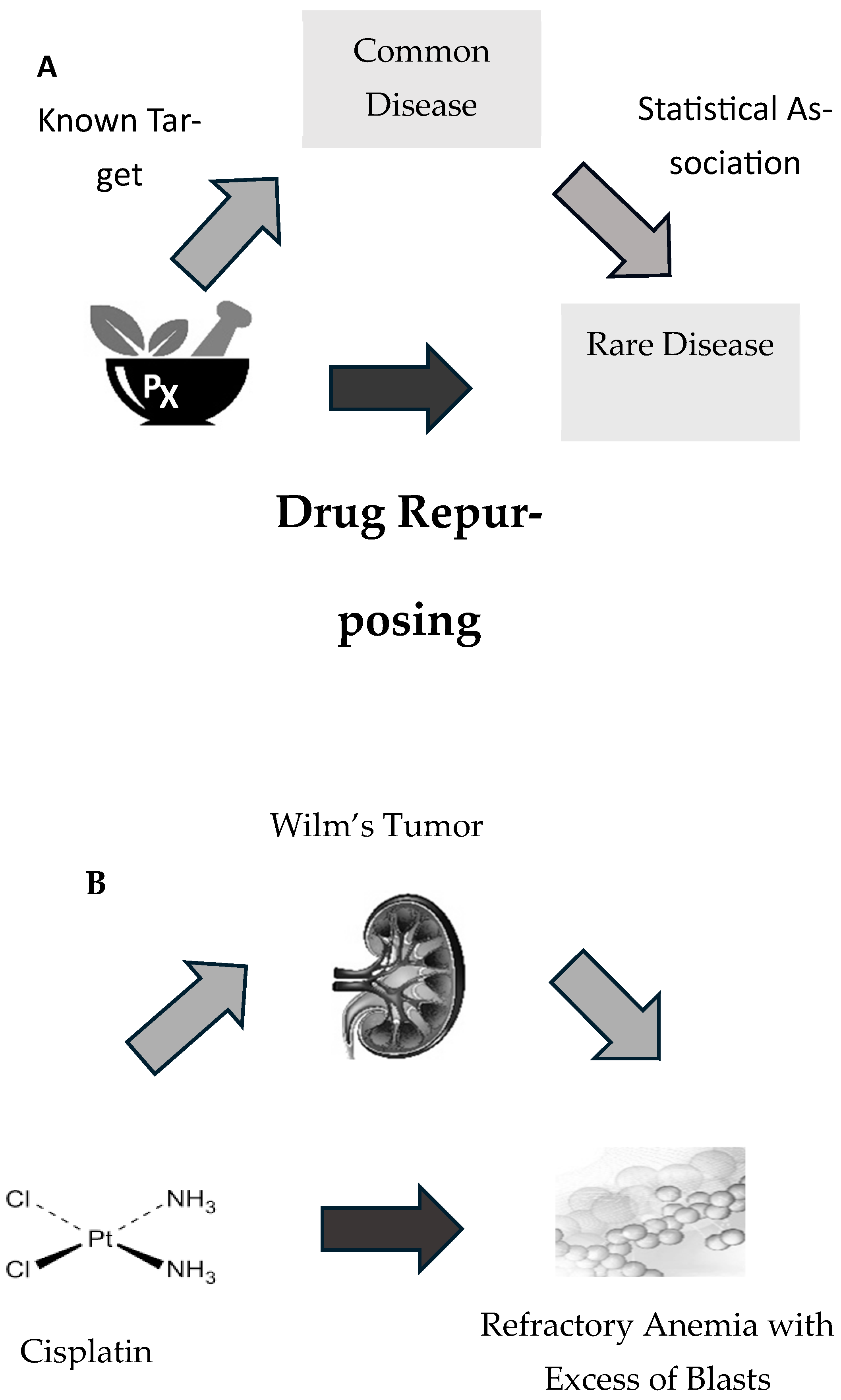 Businesses 04 00028 g001 Businesses 04 00028 g001
