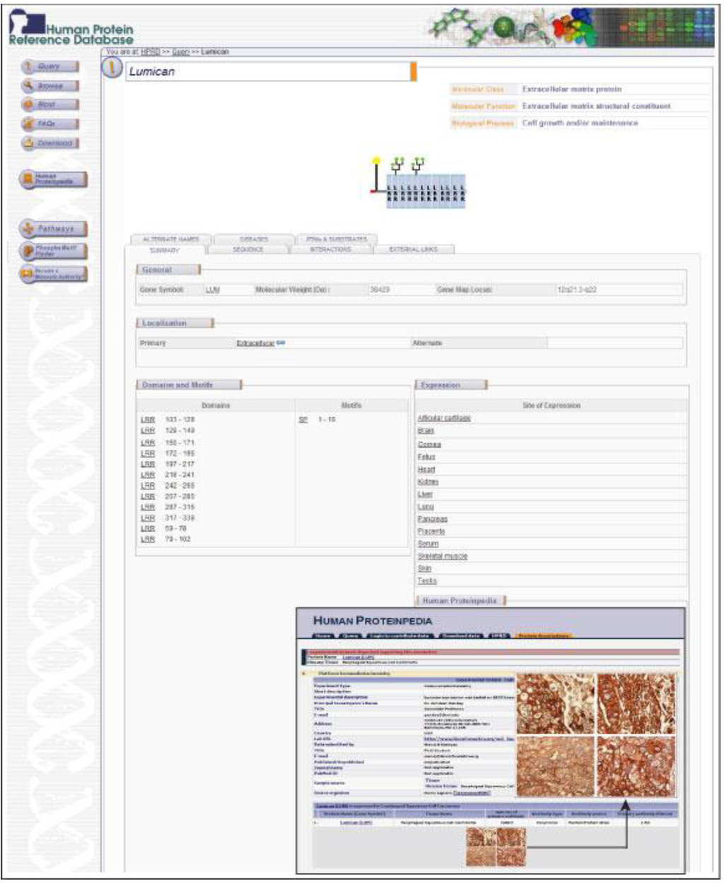 Cancers 02 00133 g004 1024