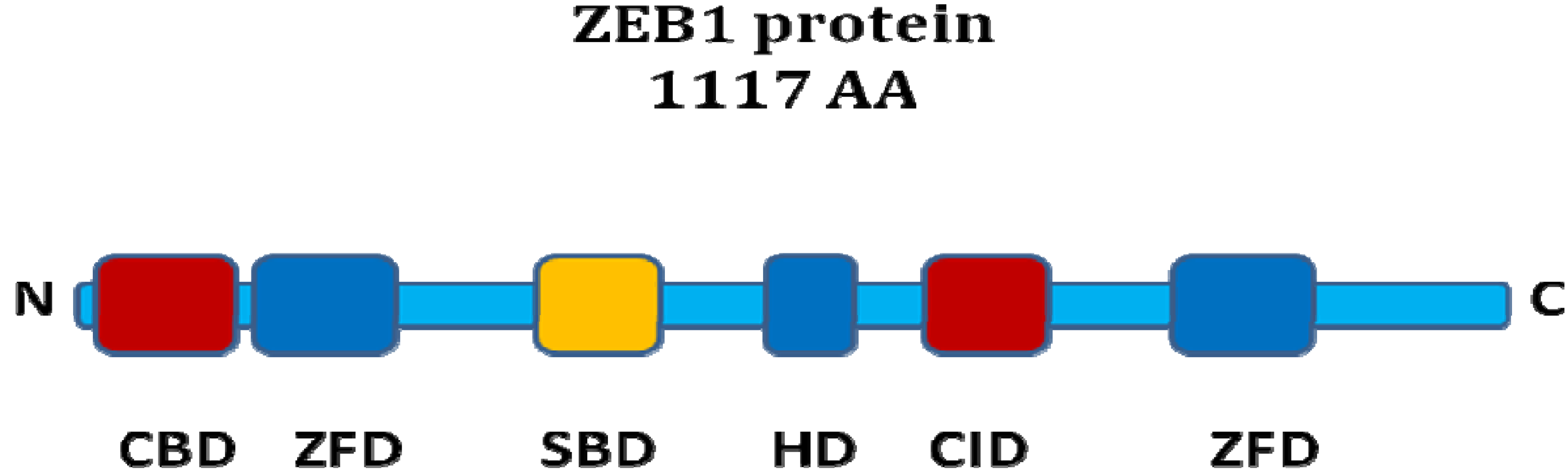 Cancers 02 01617 g001