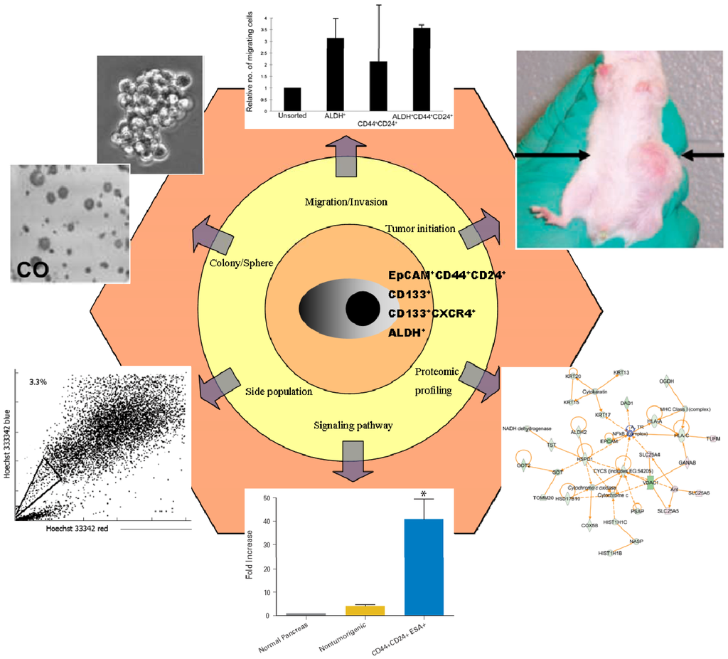 Cancers 02 01629 g001 1024