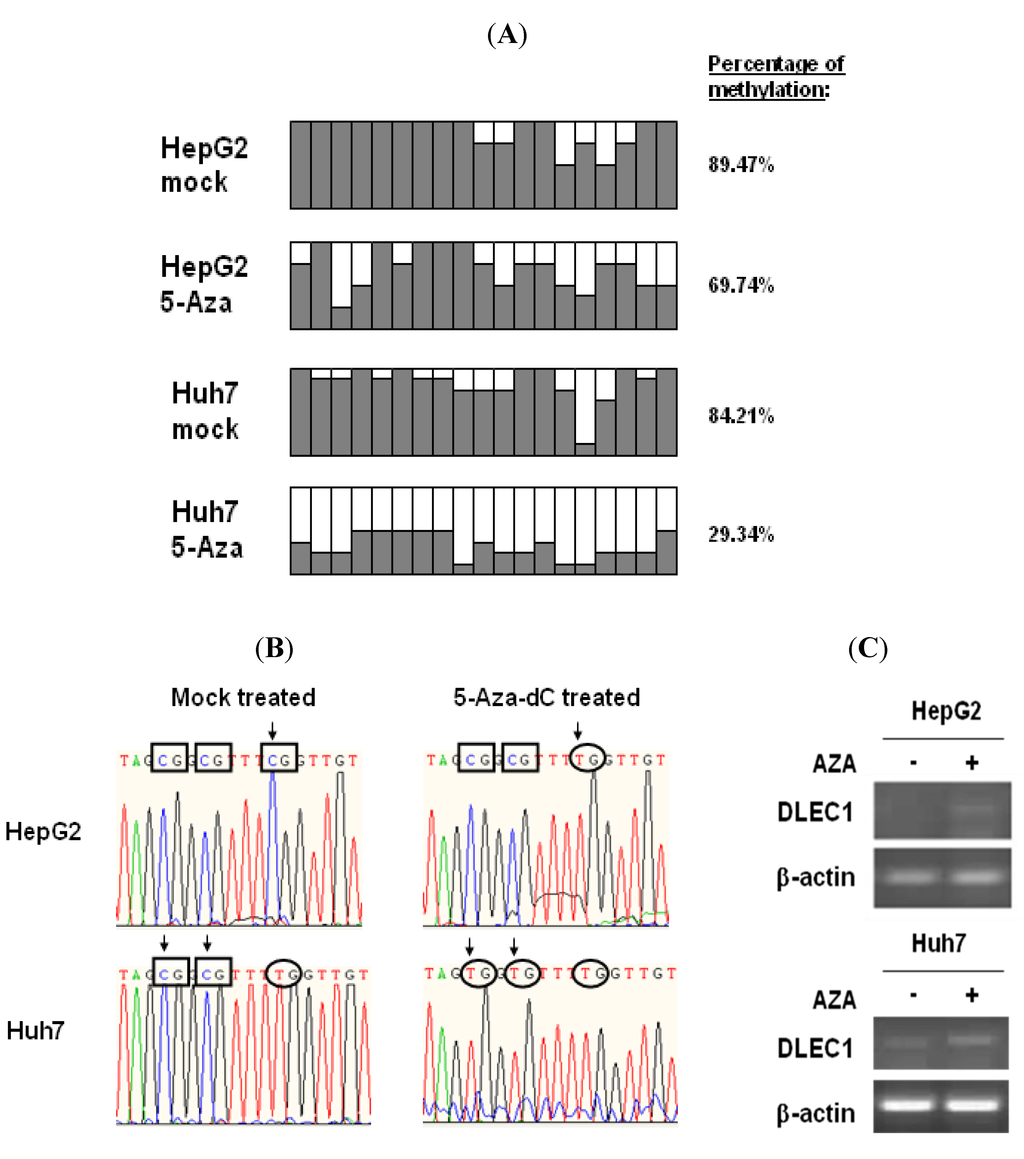 Cancers 02 01689 g001 1024