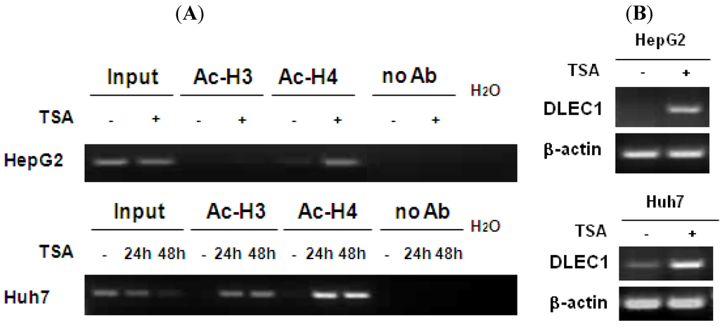 Cancers 02 01689 g002 1024
