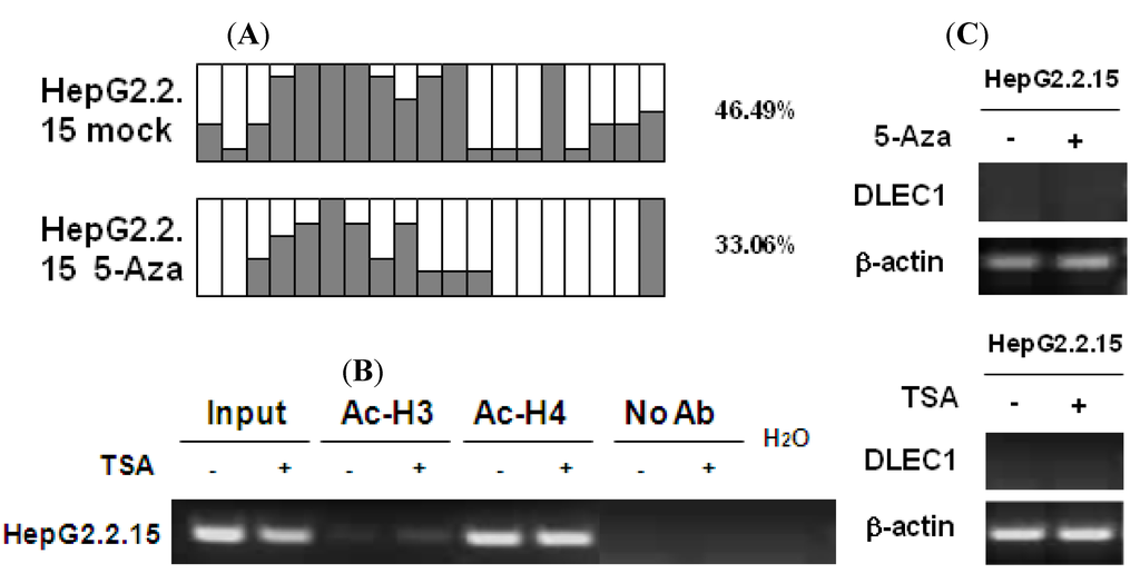 Cancers 02 01689 g003 1024