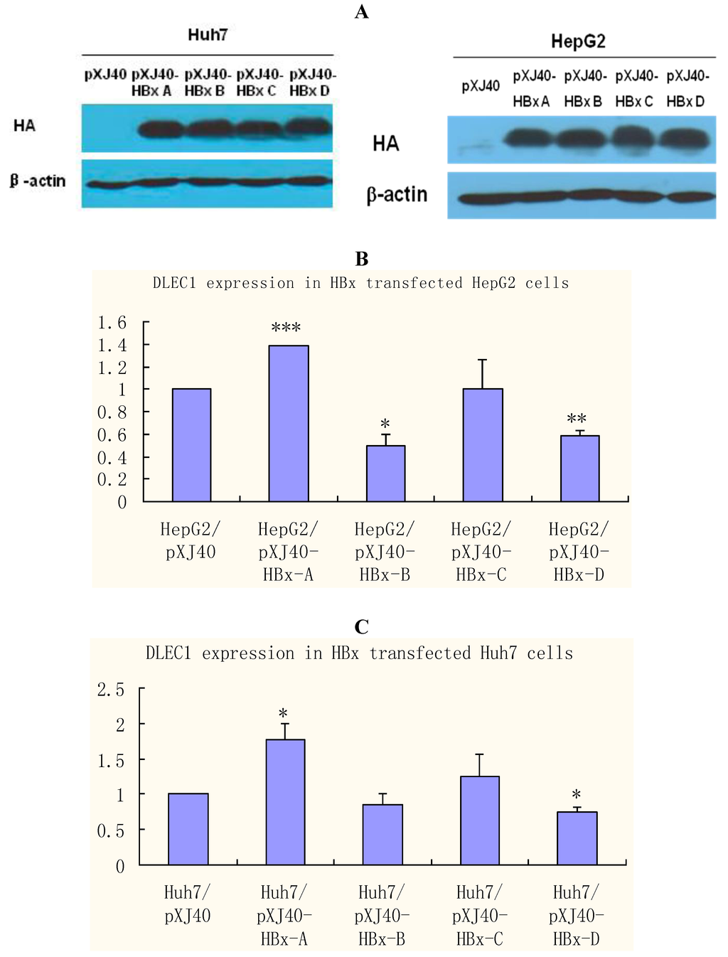 Cancers 02 01689 g004 1024