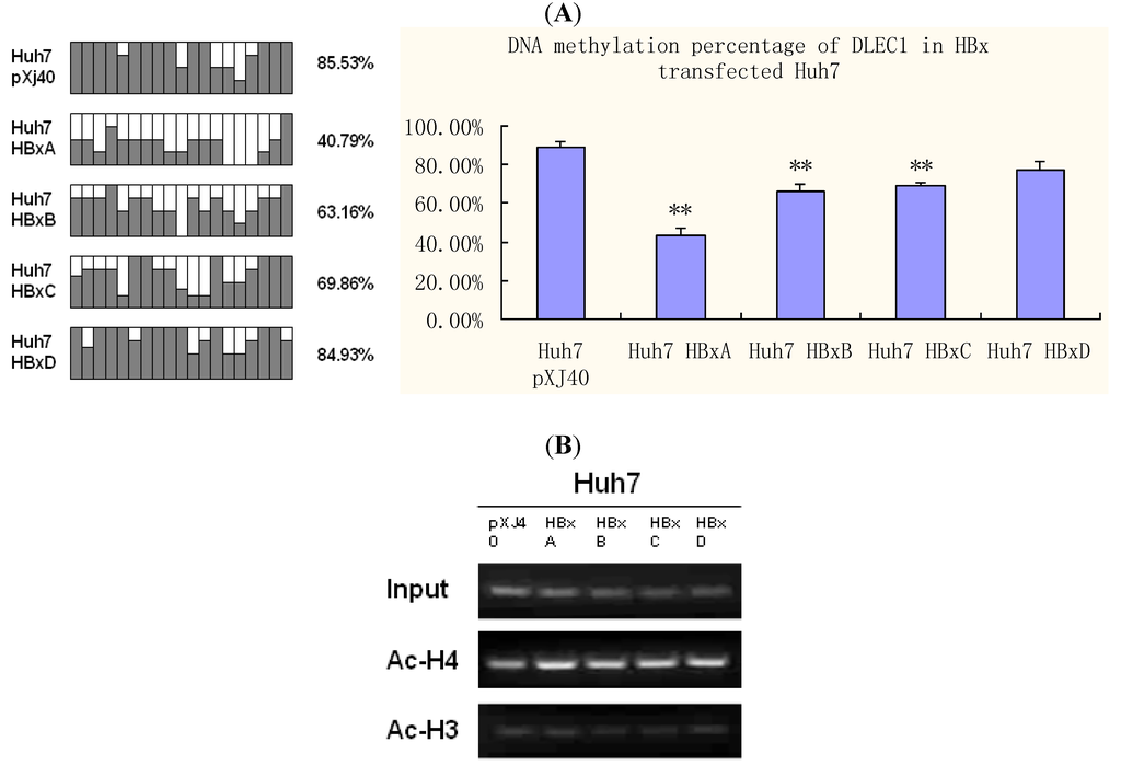 Cancers 02 01689 g005 1024