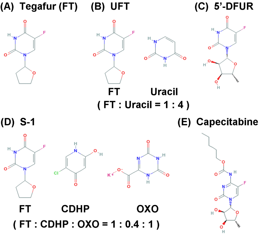 Cancers 02 01717 g002 1024