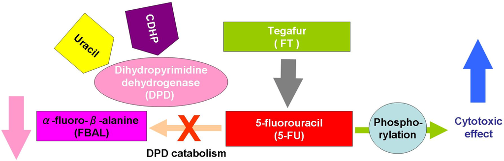 Cancers 02 01717 g003 1024