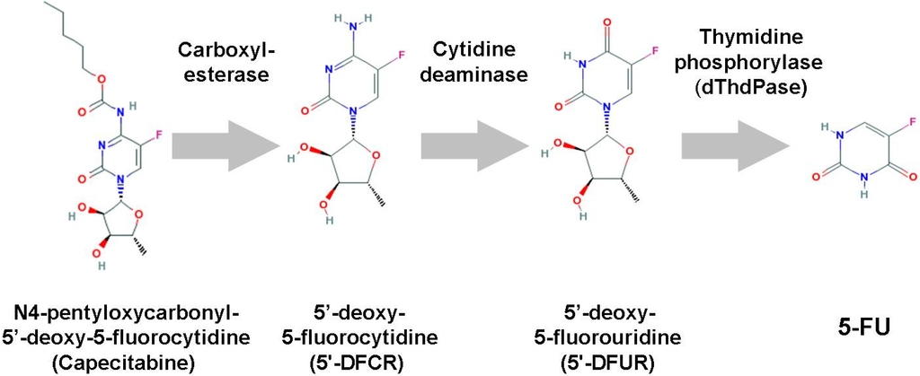Cancers 02 01717 g004 1024