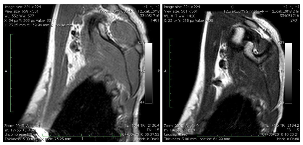 Cancers 02 01884 g001 1024