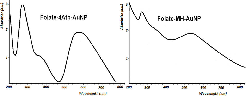 Cancers 02 01911 g005 1024